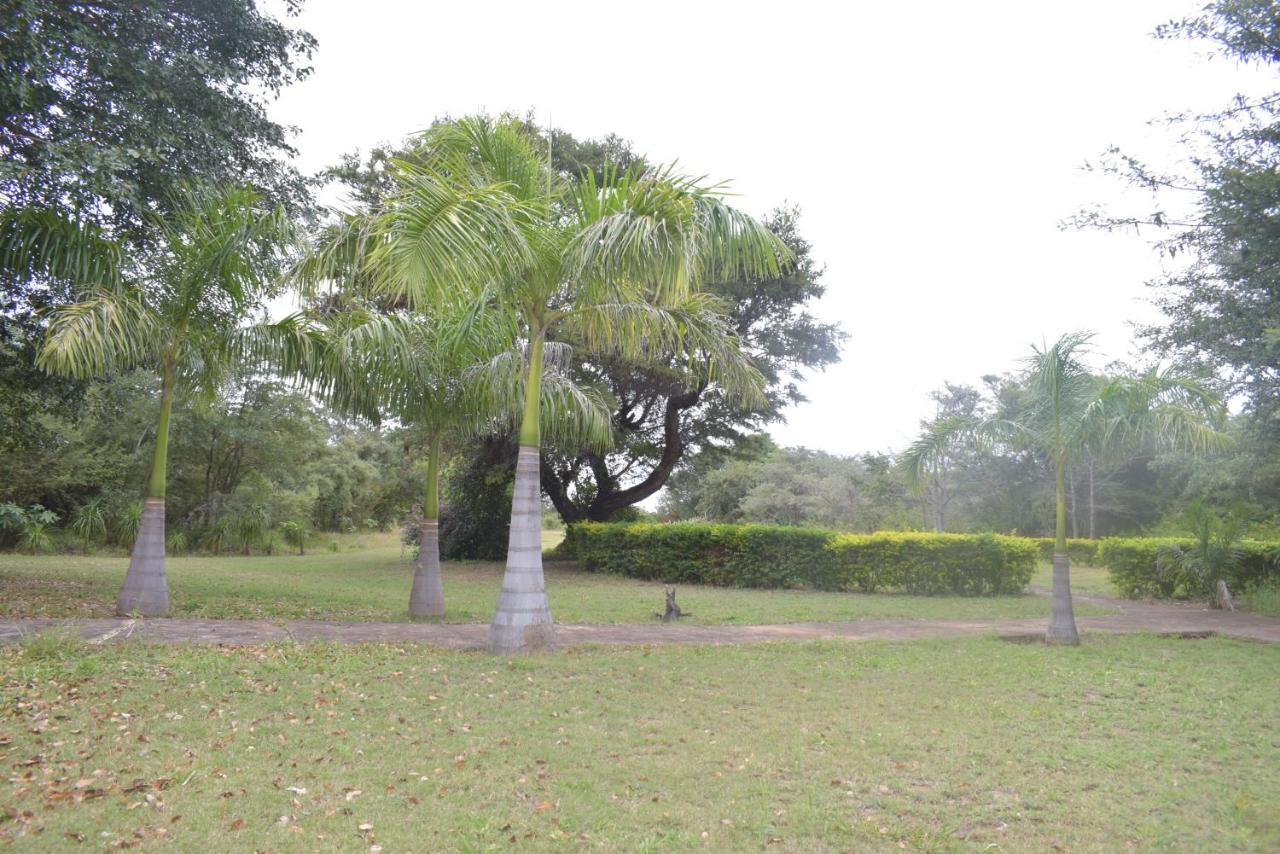 Copacopa Lodge And Conference Centre Punda Maria Exterior foto
